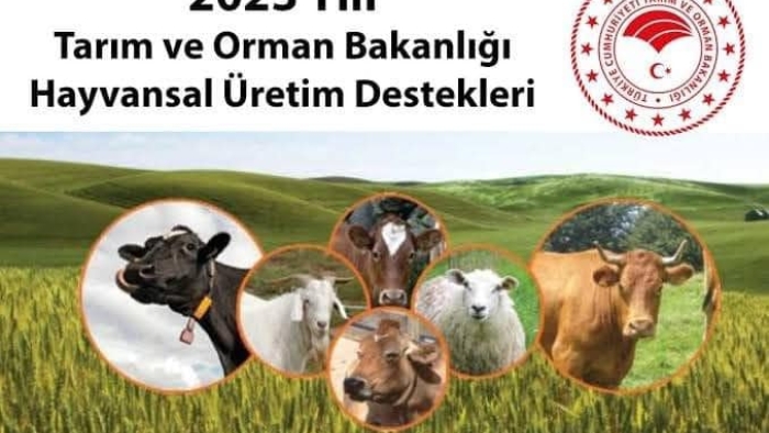 2023 yılı  Buzağı Destekleme Başvuruları başladı