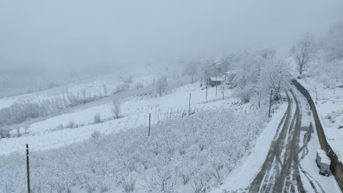 Mart kapıdan baktırdı kazma kürek yaktırdı