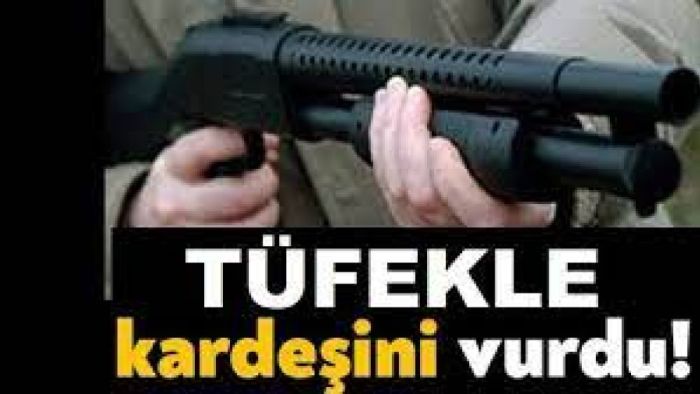 Çaybaşı'nda kardeşinin tüfekle vurduğu kişi yaralandı